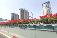 已在线。欢迎来聊。❤配图
