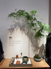 当你一切总是向内求，不再寻求谁的认同的时候，成长就悄悄开始了。❤晚上好，欢迎来聊。❤配图