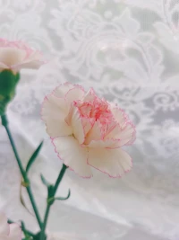 人生三大重要的事：你的錢(qián)，你的健康，你內(nèi)心的淡然。其次都是其次。?配圖