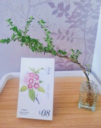 时间都去哪儿了，转眼半年都快过完了。想读的书读了吗？想见的人见了吗？想去看的风景去看了吗？行动起来吧！加油，早安。❤配图