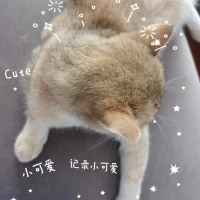 我的小乖不会变，一如既往地陪在我身边。❤配图