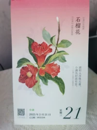 当小满遇上521：小得盈满，爱逢其时❤。人生路上不必苛求完美，那些小小的不完美，也是生活动人的模样。愿你从每个“小满未满”的瞬间，感受到点点滴滴的爱意，和属于自己的小美满。❤配图