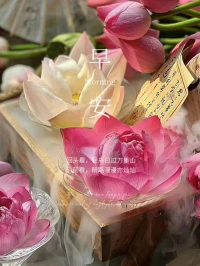❤当我开始真正爱自己，我不再苛求不一样的人生，我明白任何发生在我身边的事，都是对我成长的邀约。如今，我称之为“成熟”。
❤当我开始真正爱自己，我才明白，在任何情况下，我其实都处于恰好的时机、恰好的地方，而发生的一切也都恰如其分。由此，我得以平静。今天，我称之为“自信”。
❤当我开始真正爱自己，我不再挥霍自己的生命和时间，不再去勾画什么宏伟的明天。今天的我，只做能为我带来喜悦和幸福的事，做那些我所热爱，且能鼓舞我心的事情，用我的方式、我的韵律。今天，我明白了，这叫做“单纯”。——卓别林