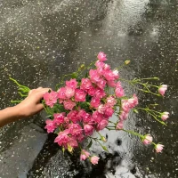 ?任何關系，走到最后，不過是相識一場，有心者，必有所累，無心者，亦無所謂。情出自愿，不談虧欠，一念起，天涯咫尺；一念滅，咫尺天涯。配圖