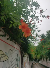 人生沒有標準的答案，但有清醒的選擇
 想不開，什么都是事，想開了，也就那么回事。配圖
