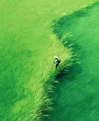 ?又是一年高考日。加油。
無論是孩子遭遇挫折，還是面臨考試時，結果導向的鼓勵，都會窄化了孩子的價值坐標，而輕描淡寫的安慰，則否定了孩子的真實感受。真正滋養孩子心靈的，不是空洞的加油，不是“你一定會成功的”綁架，而是被看見和無條件接納的安全感。配圖