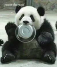 經歷了幾天頭昏腦脹，身體終于恢復了，已在線，歡迎來聊。?配圖