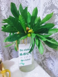 總要活出個揚眉吐氣的樣子給自己看看吧。晚上好。?配圖