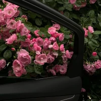 人生處處都藏著驚喜。停車帶來的驚喜。?配圖