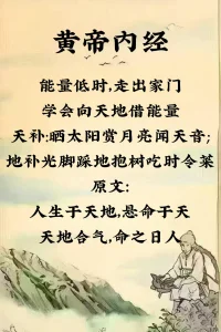 學(xué)會向天地借能量。配圖