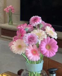 停止内耗最好的办法，不是运动，不是读书，而是要我们主动把心理状态调成三种模式：
静音模式、飞行模式、闯关模式。