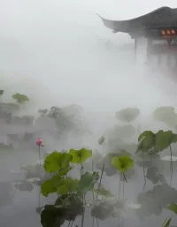 梅雨季節帶來的福利，煙雨西湖，絕美。配圖