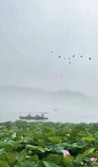 梅雨季節帶來的福利，煙雨西湖，絕美。配圖