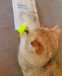 暑假來了，時間比較自由啦，歡迎大家隨時來聊。?配圖