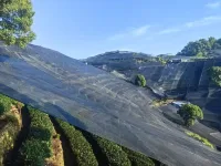 天气太哇晒了。西湖的龙井茶都被晒干了。这个天气就适合在家吹吹空调、看看书、喝喝茶、聊聊天。等你来聊哦。❤