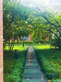 家就在對面，回不去。那就聽聽雨聲，喂喂蚊子吧，哈哈。配圖