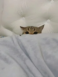 没有人不遗憾，只是有人不喊疼。晚安❤