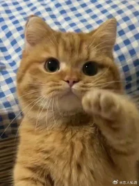 长期主义永不过时，加油。❤