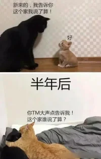 你不能等待别人来安排你的人生，自己想要的，自己争取。

——宫崎骏《猫的报恩》​​​