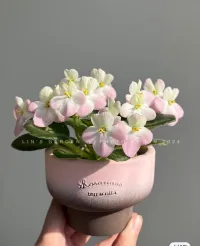 在不稳定的命运中找寻最稳定的自己。——跳水皇后郭晶晶。配图