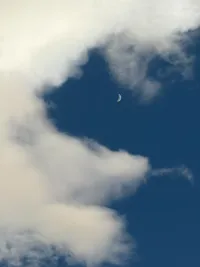 你的心態(tài)就是你真正的主人。
人活著，其實就活一顆心。
唯有好心態(tài)， 
才能將生活的“苦”
化作前行的力量，
一路向陽。

人這一輩子，
有多少計較就有多少心病；
有多少寬容就有多少快樂。
      
所以養(yǎng)心才是最好的養(yǎng)生，
心寬病自退，心安生自安。配圖
