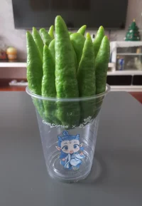 什么是反刍思维呢？反刍思维（Rumination）是一种持续、重复的消极思考模式，表现为个体反复纠结于自身的负面情绪、问题或经历，无法从中解脱。这种思维模式常见于抑郁、焦虑等心理状态中，可能加剧情绪困扰，影响问题解决能力。