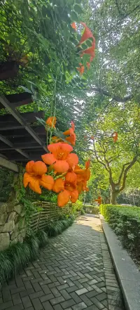 從小被教育，愛這個(gè)，愛那個(gè)。其實(shí)很簡單，
你困難時(shí)，誰愛你，你就愛誰。配圖