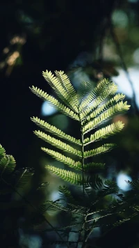 人生太長了，多少人、事我們眼睜睜看它起高樓,看它宴賓朋,看它樓坍塌……所以把握住當下能把握的東西才是真的。比如你的情緒，你的健康等等對吧。?