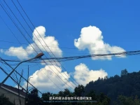 成長其實是走向更真實、更自洽的自己。而不是一味追求完美。晚上好。?配圖