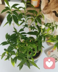 ?經濟下行依然有很多上行的行業。要堅持長期主義，去學習去提升去發現，行動一次可以緩解十倍焦慮，加油。?配圖