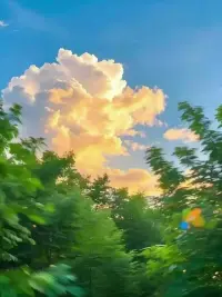 ❤真诚是必杀技。但，对方未必能接得住。所以，真诚就是武器。必然会让一些人远离。不过没关系，这就是筛选。有些人不需要在身边。
❤不管怎样，真诚还是最好的。能让一些人远离，一些人更近。