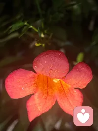 “山高水長，怕什么來不及，慌什么到不了，天順其然，地順其性，人順其變，一切都是剛剛好。”???配圖