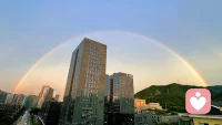 ❤成长就是在一次次的自我推倒、粉碎、重建中形成的。❤早安配图