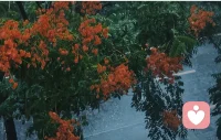 沉浸在下雨天的氛围里。一场秋雨一场寒。配图