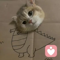 早上好，已在線接單，歡迎來(lái)聊。配圖