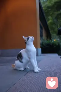 這世界上沒有最好的人、事、物，但是一定有最適合你的。??配圖