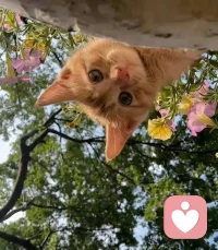 晚上好，让我看看是谁偷偷在emo。