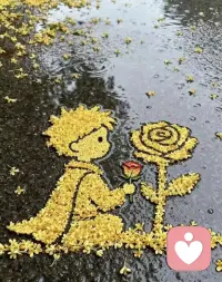 人生，恰如秋分的圆满：一半微凉，一半秋阳。一半欢喜，一半忧伤。岁月和美，恰如其分。今日秋分，吃桂花糕了嘛？早安。❤️
