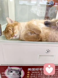 天天開心只是個美好的愿望，時不時emo才是正常的。早安。??配圖