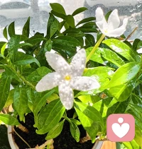 人生好比炒股，跌宕起伏。扛得住低谷期，也能淡然一笑面對(duì)高峰期。只不過拋與不拋都掌握在你自己手里。??配圖