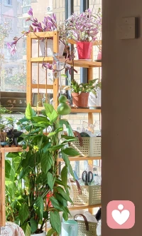 接受真實其實比追求完美更需要勇氣。??配圖