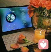 一個人想要活的自洽，其實無非就是外在的動力加自我的接納這兩部分。??晚上好配圖