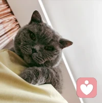 ❤️很多人都知道朋友都是阶段性的，别人不联系你，你也不要烦恼，亲疏随缘。
维持关系的长久的方式是提供情绪价值或内在价值，这也是很现实的事。别人离开你，可能就是你提供不了价值，人都是趋利避害的，这也是人性。配图