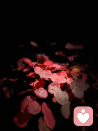 ❤️焦虑的反义词是具体，你脚踩到那个具体的路径上，一步一步往前走的时候，就没有这个焦虑了。
所以对于想做的事，不要犹豫不决，而是要立即行动。在做事过程中专注投入，不去纠结结果好坏。让精力集中在当下，减少内心的拉扯，可以有效 “杀死” 内耗。配图