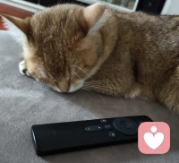 ❤️告诉你一个颠覆认知的真相:
那些被你嫌弃的“致命缺点”,其实都是放错地方的天赋!
小时候坐不住,是多动;长大后,这是行动力。
太敏感被认为是玻璃心,但这也是共情力。
别急着改掉自己,先问问:它是真的有害,还是没找对位置?
找到适合的舞台,你的缺点,就是成就顶尖自己的关键!配图