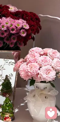 每个人都有自己的南墙要撞。希望我们都有撞完南墙后回头重新开始的勇气和力量,周末愉快。❤️配图