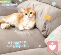 ❤️商品是靠品质还是价格赢得市场的?那么人呢?
❤️对于商品,短暂的胜利可能靠价格,但持久的胜利一定靠价值。这个价值以品质为核心,并通过合理的价格和有效的沟通传递给市场。
❤️对于人,短暂的吸引可能靠外在,但持久的尊重一定靠内在。你的品德和能力构成了你真正的“价值”,而你的外在成就和人际关系,是这种价值自然的体现和延伸。
❤️所以,无论是经营一个品牌还是经营自己的人生,最明智的策略都是:坚守内在品质,不断提升能力,并智慧地将其转化为对他人、对社会的价值。 这样赢得的“市场”,才是坚实而长久的。配图