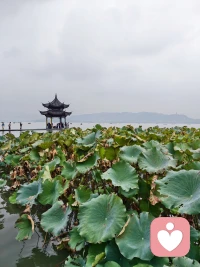 ❤️成熟和认知觉醒并不是一瞬间的,都是你之前吃的亏加上的当一点点堆积出来的。老底子说吃亏是福不无一定的道理,只不过吃的亏要有记性,不要被同一块石头绊倒好几次就好。❤️配图