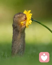 不管生活有没有变好，你都要自己变得更好。不管别人对你好不好，都要对自己好点。配图