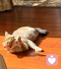 ??今天的風會說話
它說：“快多穿點，別凍著！”??
降溫啦～
大家記得多添衣，注意保暖??配圖